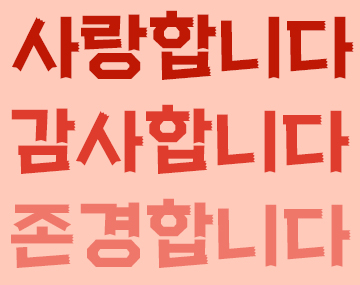 210 카네이션 사용 예시