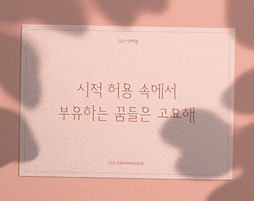 210 시적허용 사용 예시