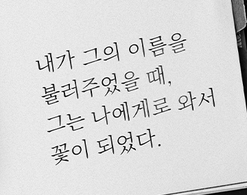 210 수필명조 사용 예시