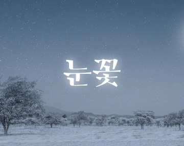 210 눈꽃 사용 예시