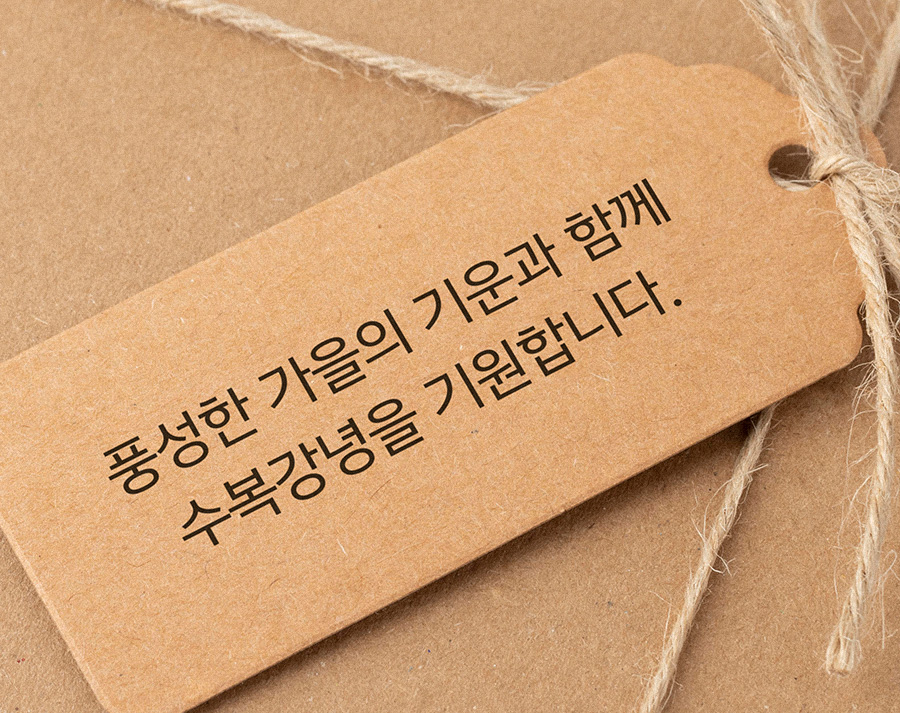 pln 현바탕 사용 예시