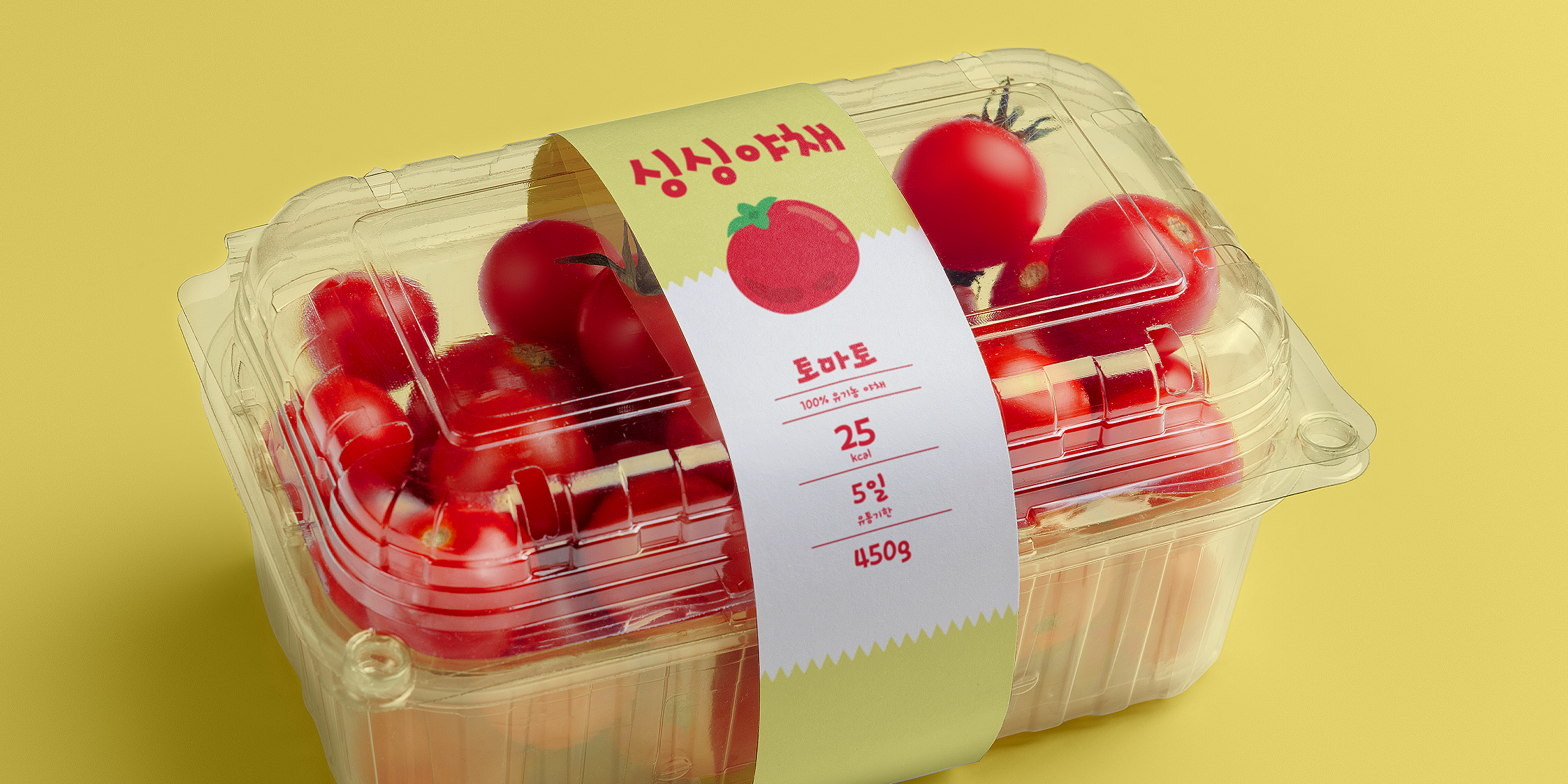 210 오로라 사용 예시