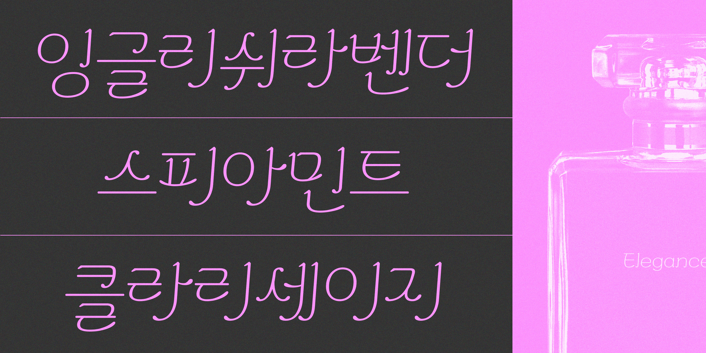 210 엘레강스 사용 예시