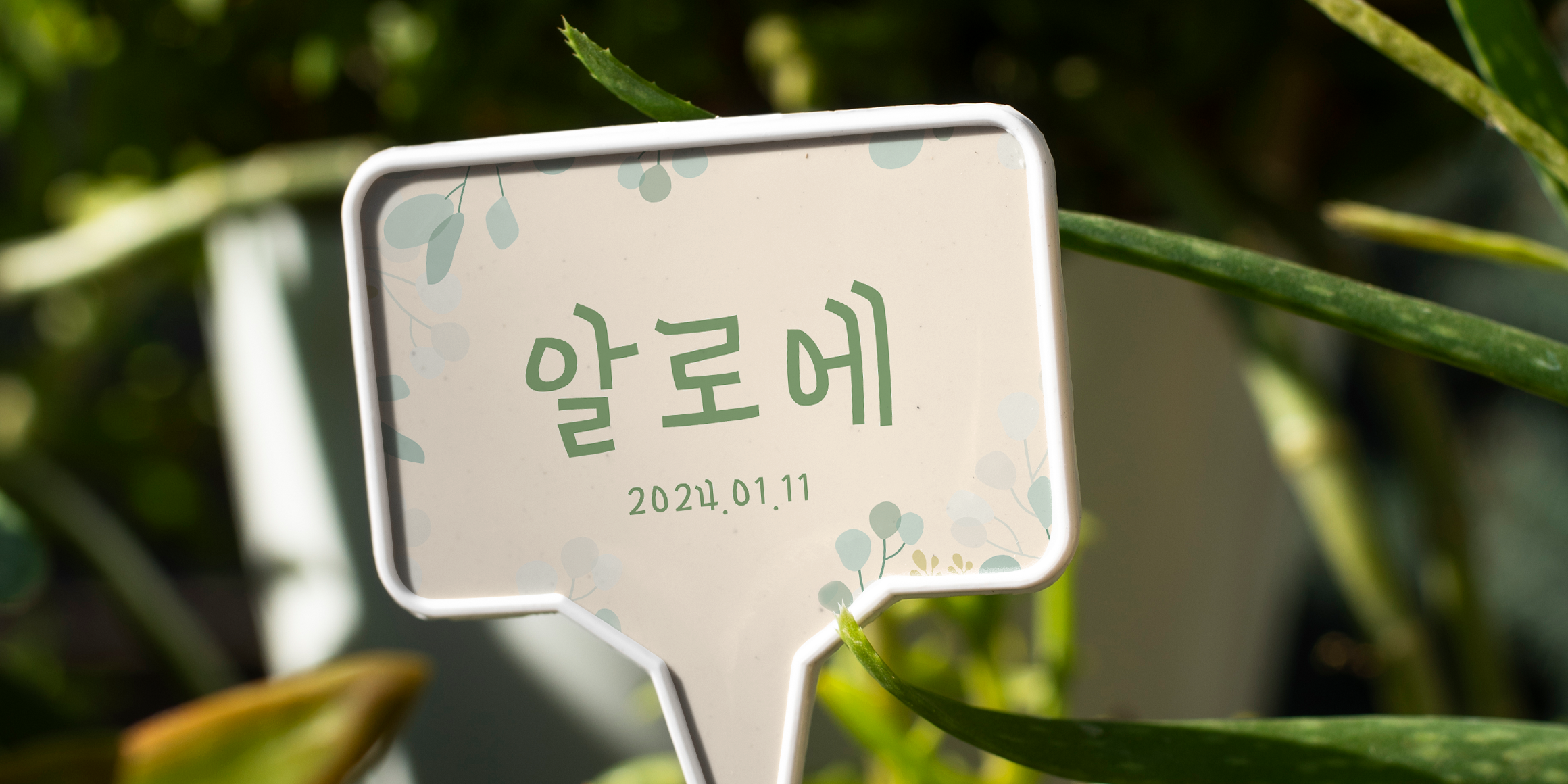 210 에브리바디 사용 예시