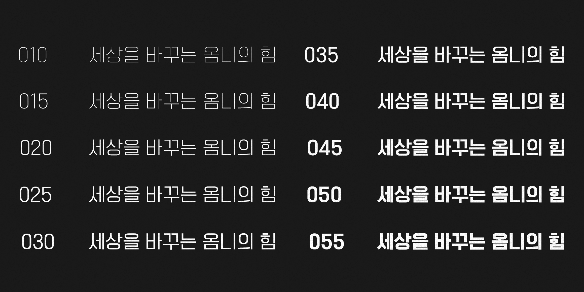 210 옴니고딕 사용 예시