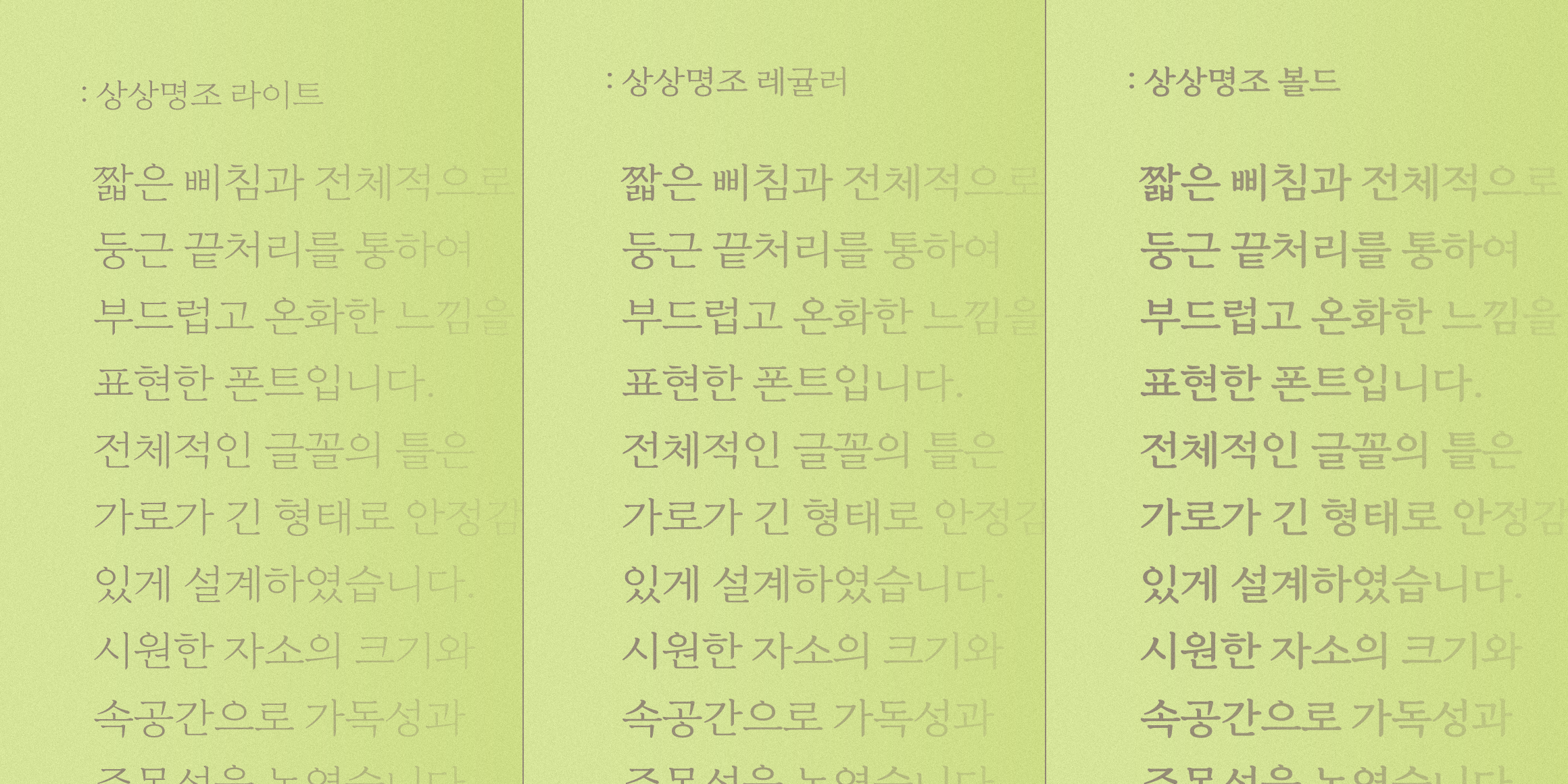 210 상상명조 사용 예시